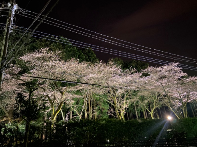 ホノルルピザさんの天然温泉 富士桜の湯 ドーミーインEXPRESS富士山御殿場のサ活写真