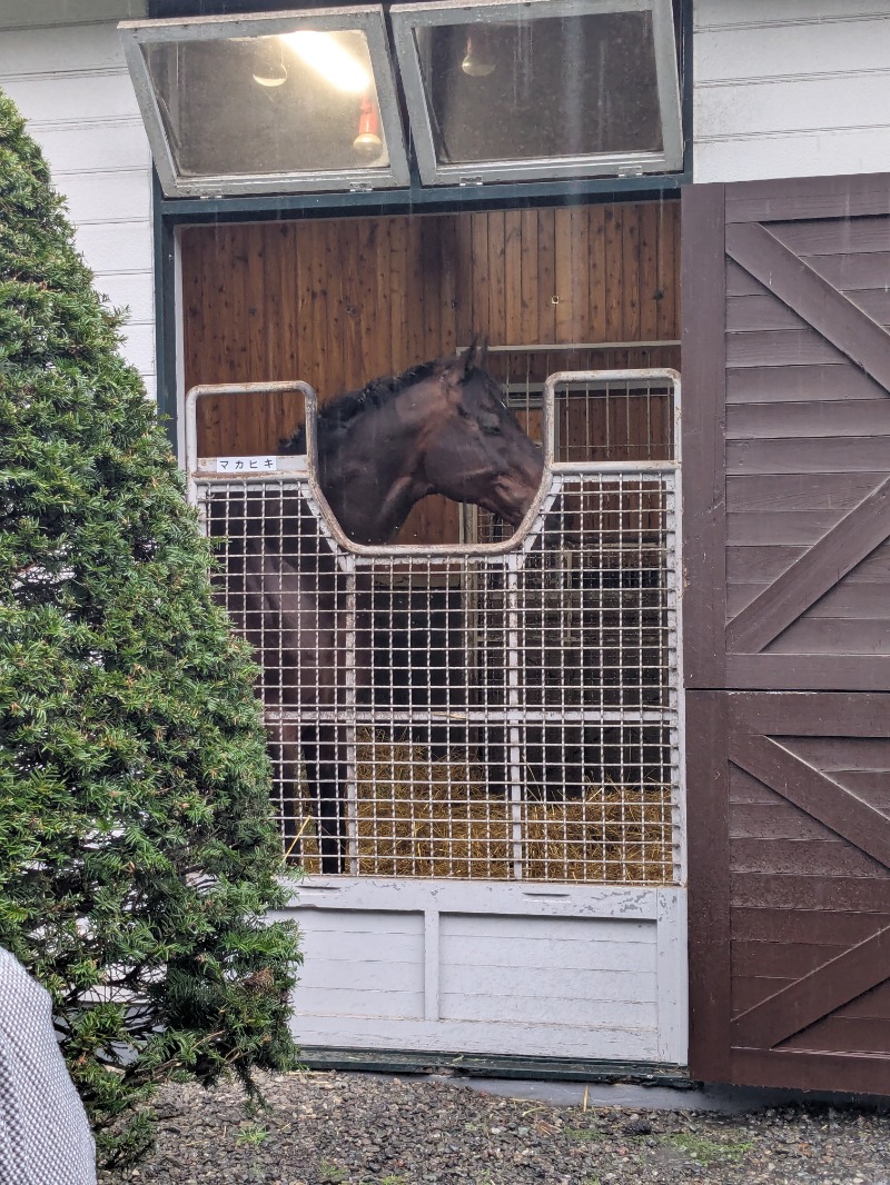 酸味さんの新冠温泉 レ・コードの湯 ホテルヒルズのサ活写真
