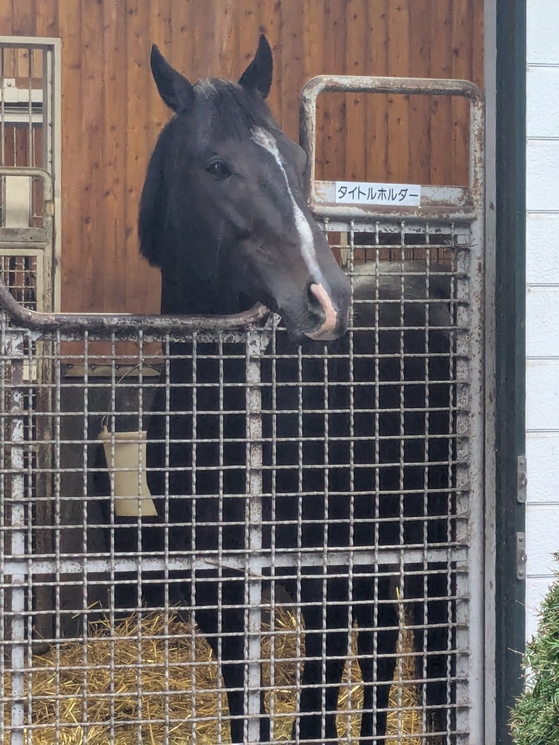 酸味さんの新冠温泉 レ・コードの湯 ホテルヒルズのサ活写真