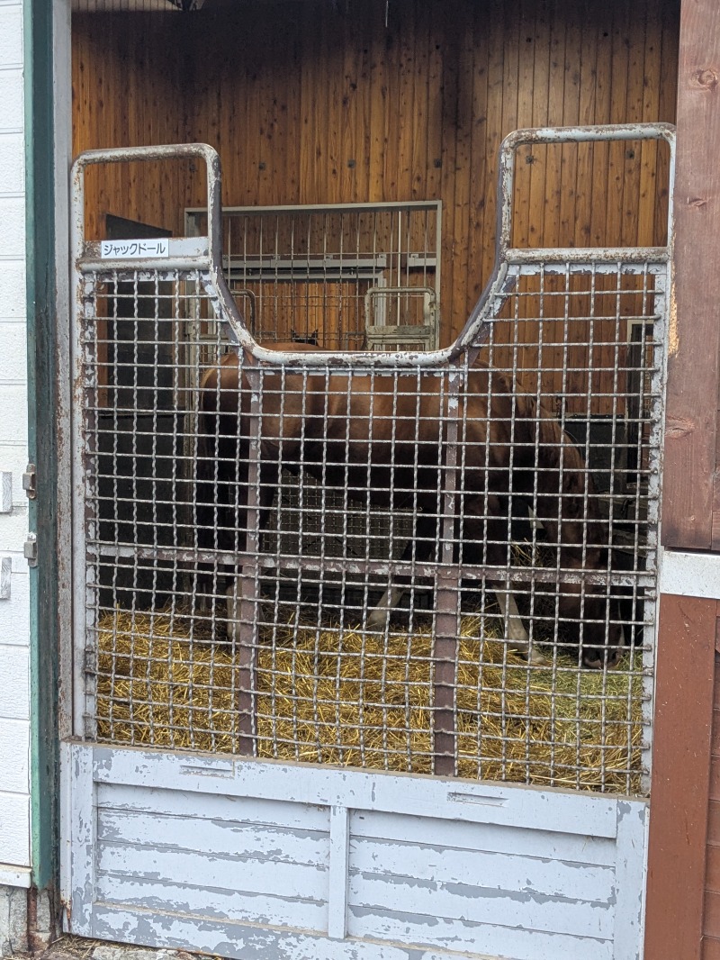 酸味さんの新冠温泉 レ・コードの湯 ホテルヒルズのサ活写真