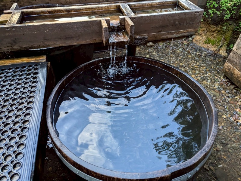 ドリービージュニアさんのThe Saunaのサ活写真