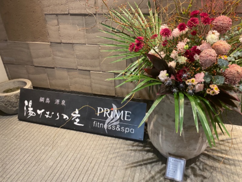 N3さんの綱島源泉 湯けむりの庄のサ活写真