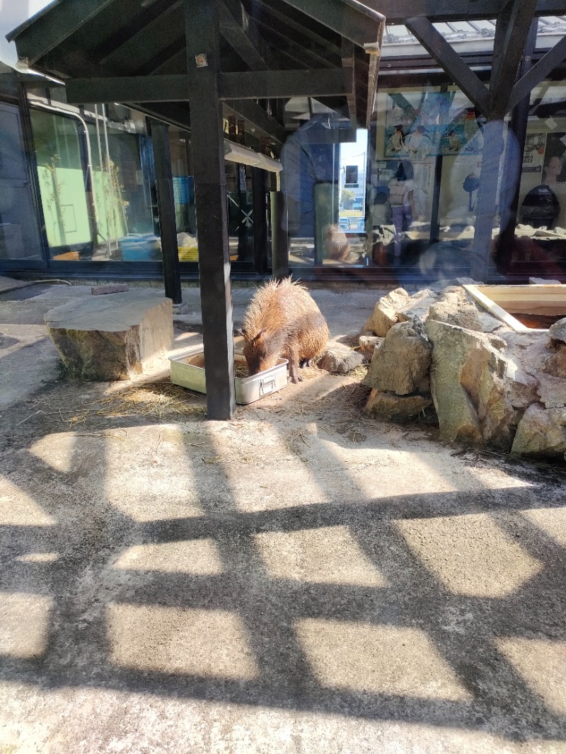 スハラー★ハイパーモードさんの石狩天然温泉 番屋の湯のサ活写真