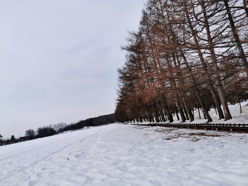 Saunazukiさんの森のスパリゾート 北海道ホテルのサ活写真