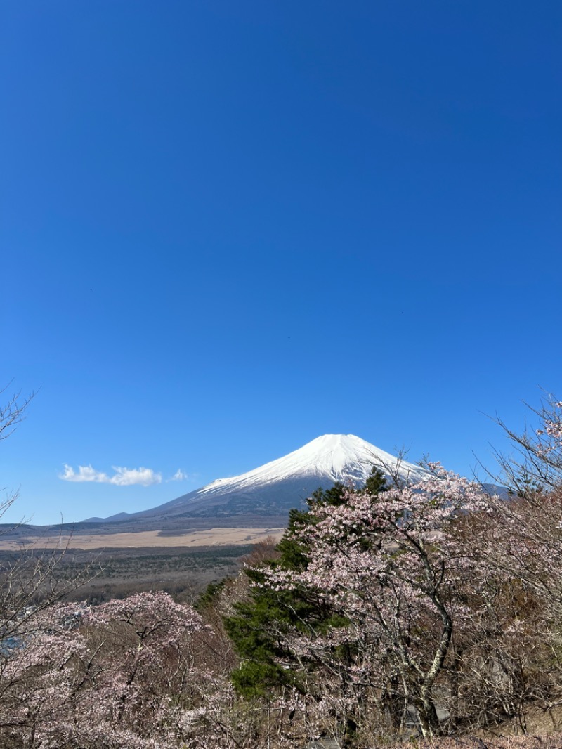 りささんのホテルマウント富士のサ活写真
