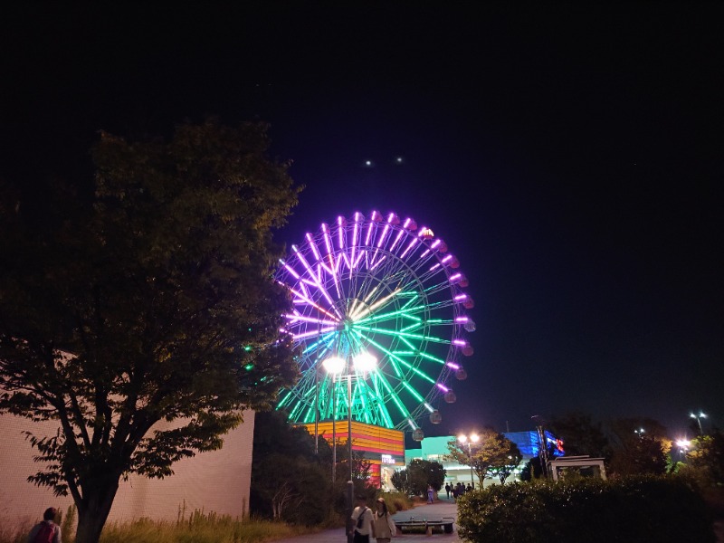 えーすすたーさんの天然温泉 かきつばたのサ活写真