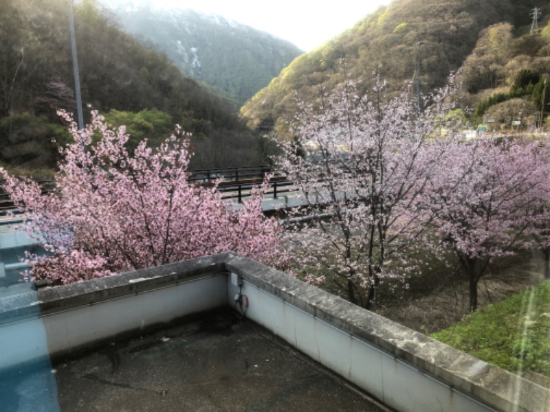 3セット🚲😵さんの宿場の湯のサ活写真