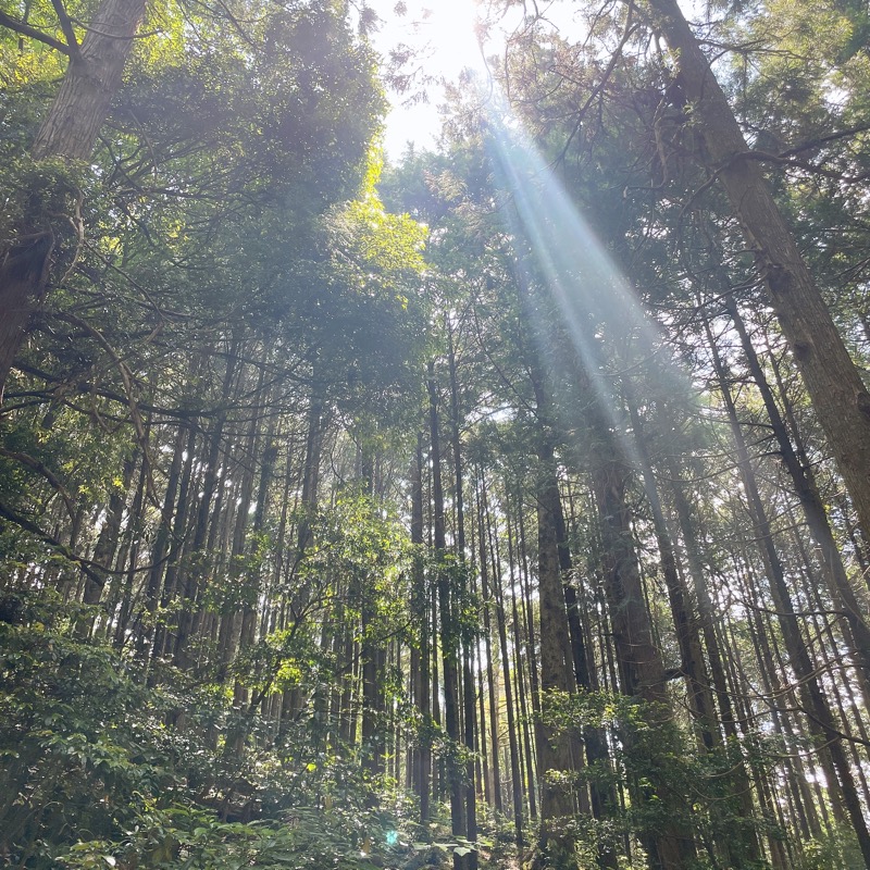 sayakameさんのつくば温泉 喜楽里 別邸のサ活写真