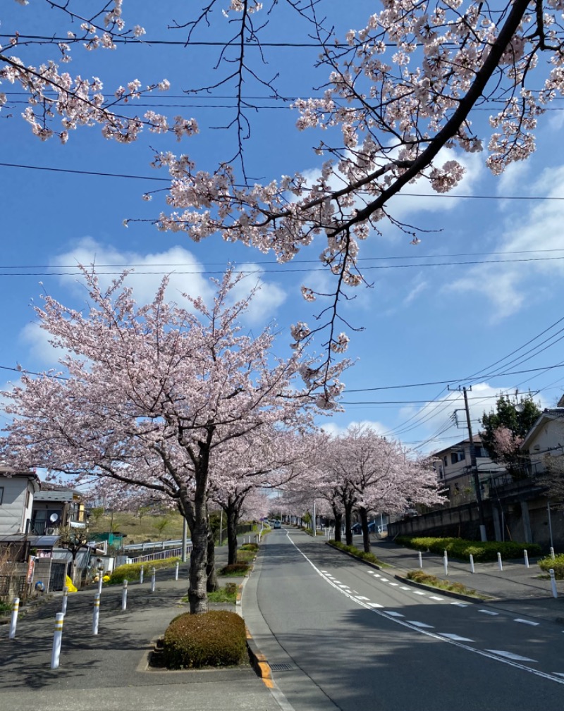 kit🌳森の爆風戦士さんの多摩境天然温泉 森乃彩のサ活写真