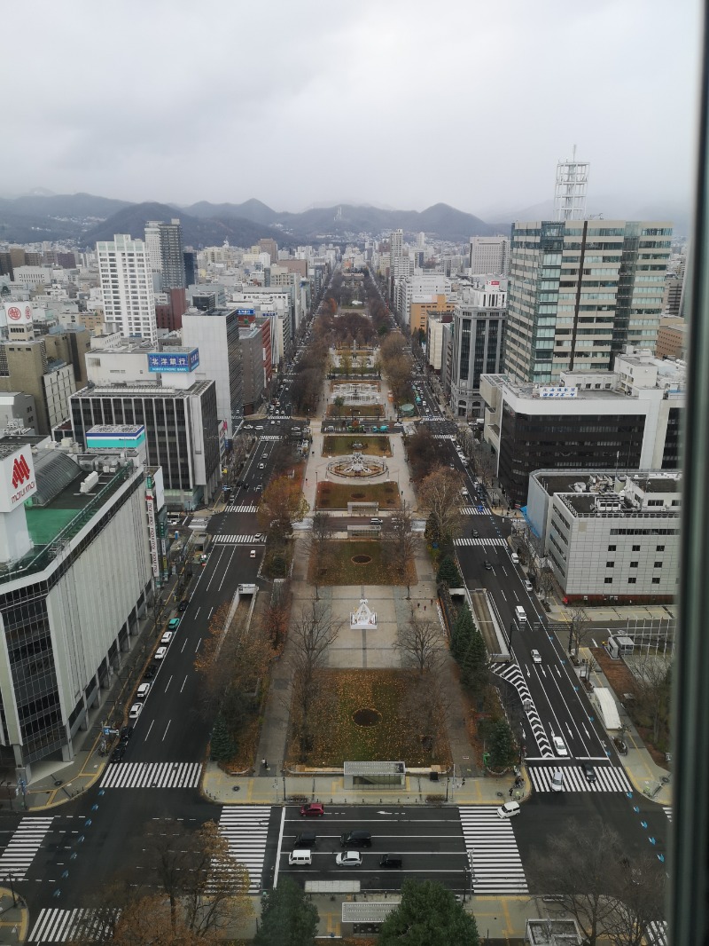 コンサポのホンダ（野良サウナー）さんのサウナの街サっぽろ(SaunaCitySAPPORO)  サウナシティーサッポロのサ活写真