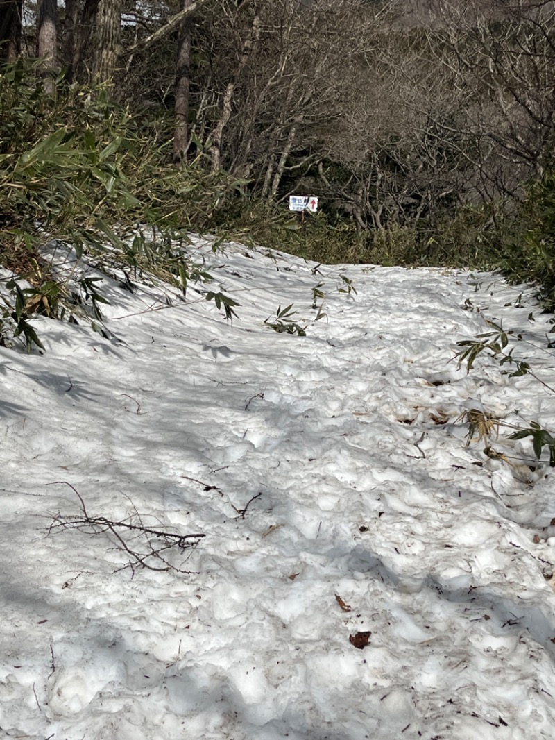 masangさんの郡山湯処 まねきの湯のサ活写真