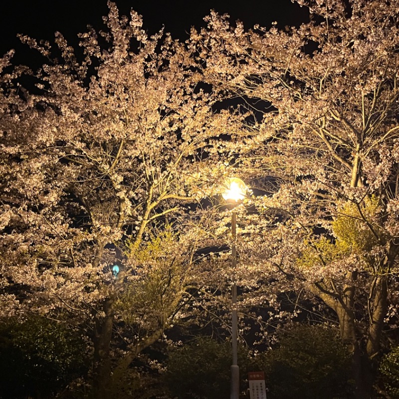 masangさんのバーデン温泉のサ活写真