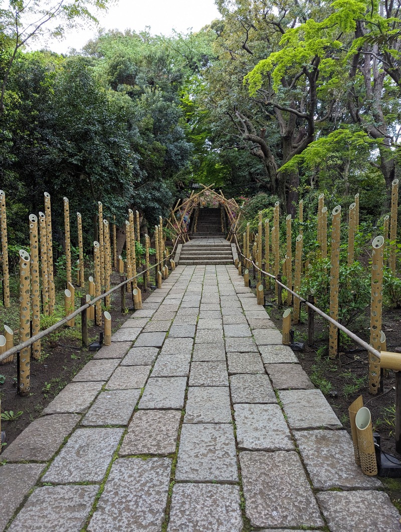 321（サニイ）さんのよみうりランド眺望温泉 花景の湯のサ活写真