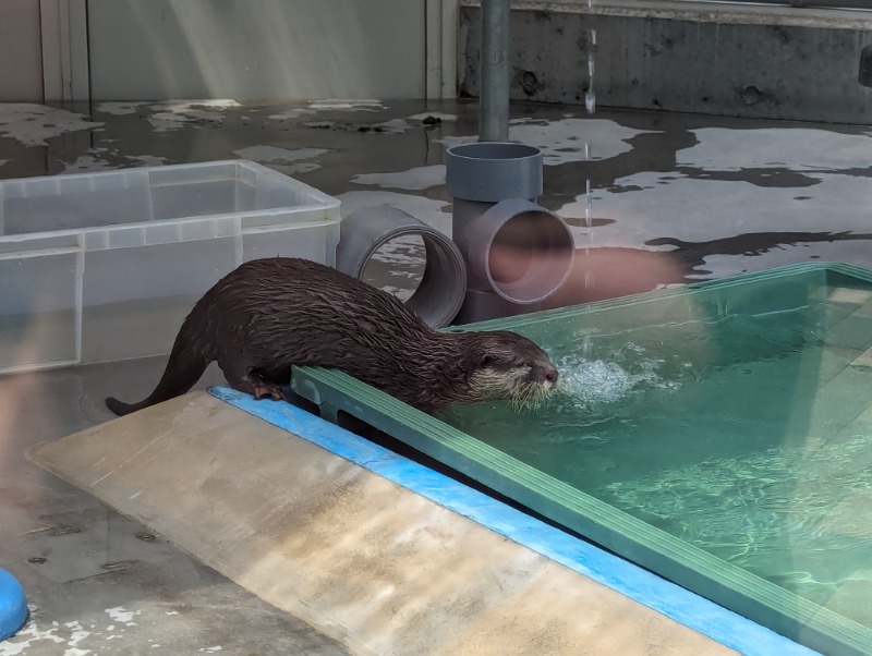 321（サニイ）さんのよみうりランド眺望温泉 花景の湯のサ活写真