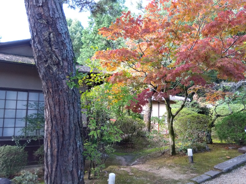 ショーカンさんの上方温泉一休京都本館のサ活写真