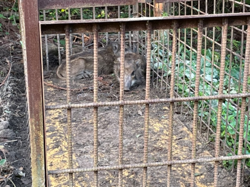 SHUさんの筑紫野 天拝の郷のサ活写真