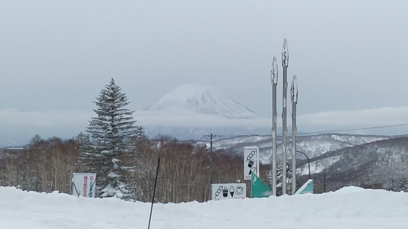 鶏ガラハッターさんの定山渓温泉 湯の花のサ活写真