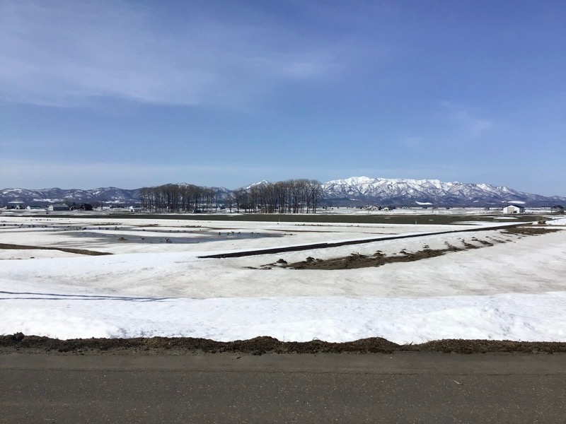 ゆ狸ぽんさんの北村温泉ホテルのサ活写真