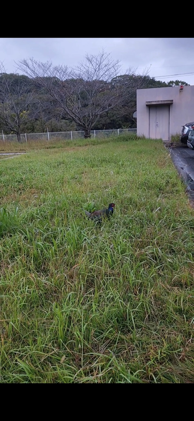 🧖マックス@さんの天然温泉日王の湯のサ活写真