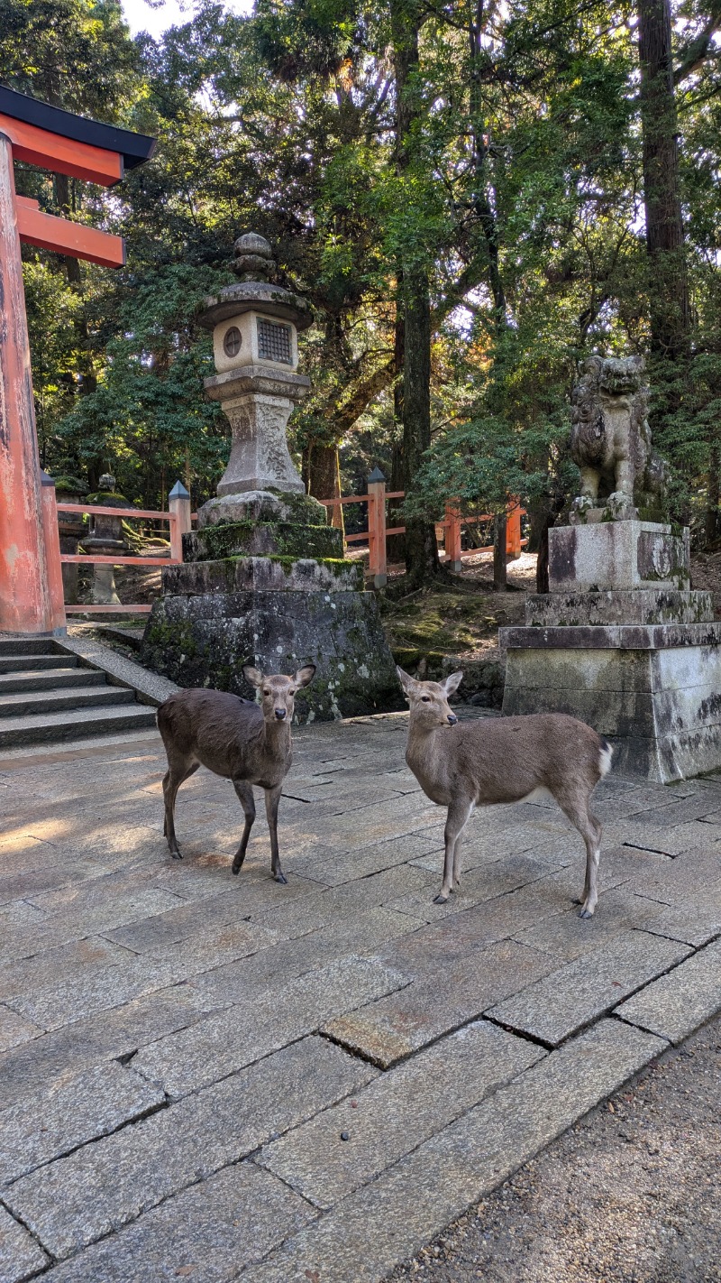 ♡705さんの奈良ロイヤルホテル ラ・ロイヤル・スパ&サウナのサ活写真