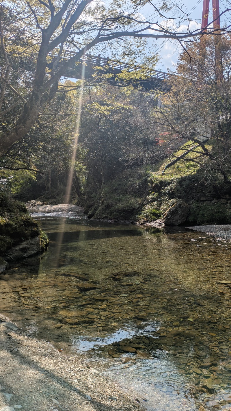 ♡705さんの霧の森 交湯〜館のサ活写真