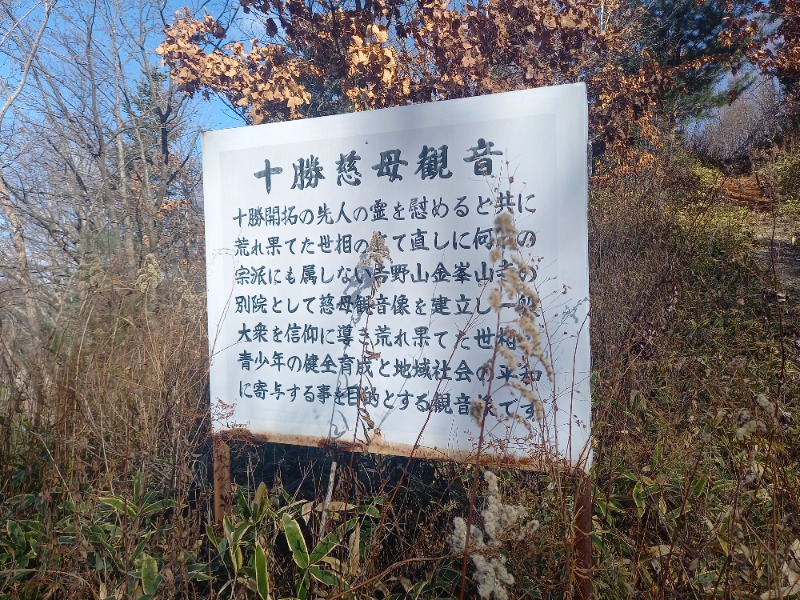 アフロ🦱レイです✨さんの十勝川温泉 観月苑のサ活写真