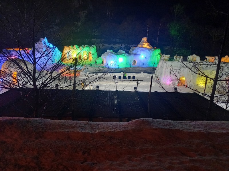 アフロ🦱レイです✨さんのホテル大雪 ONSEN & CANYON  RESORTのサ活写真