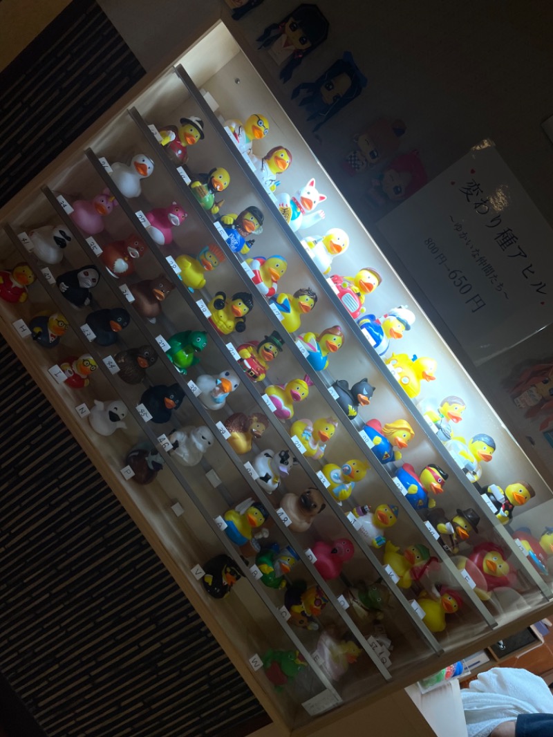 めっちさんの湯乃市 藤沢柄沢店のサ活写真