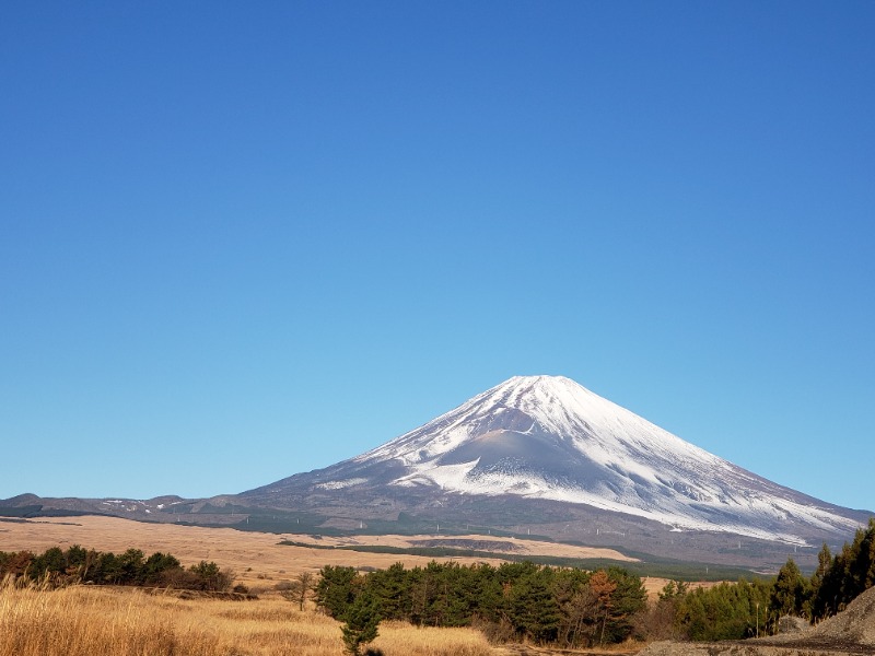 とらさんのレンブラントスタイル御殿場駒門  富士の心湯のサ活写真