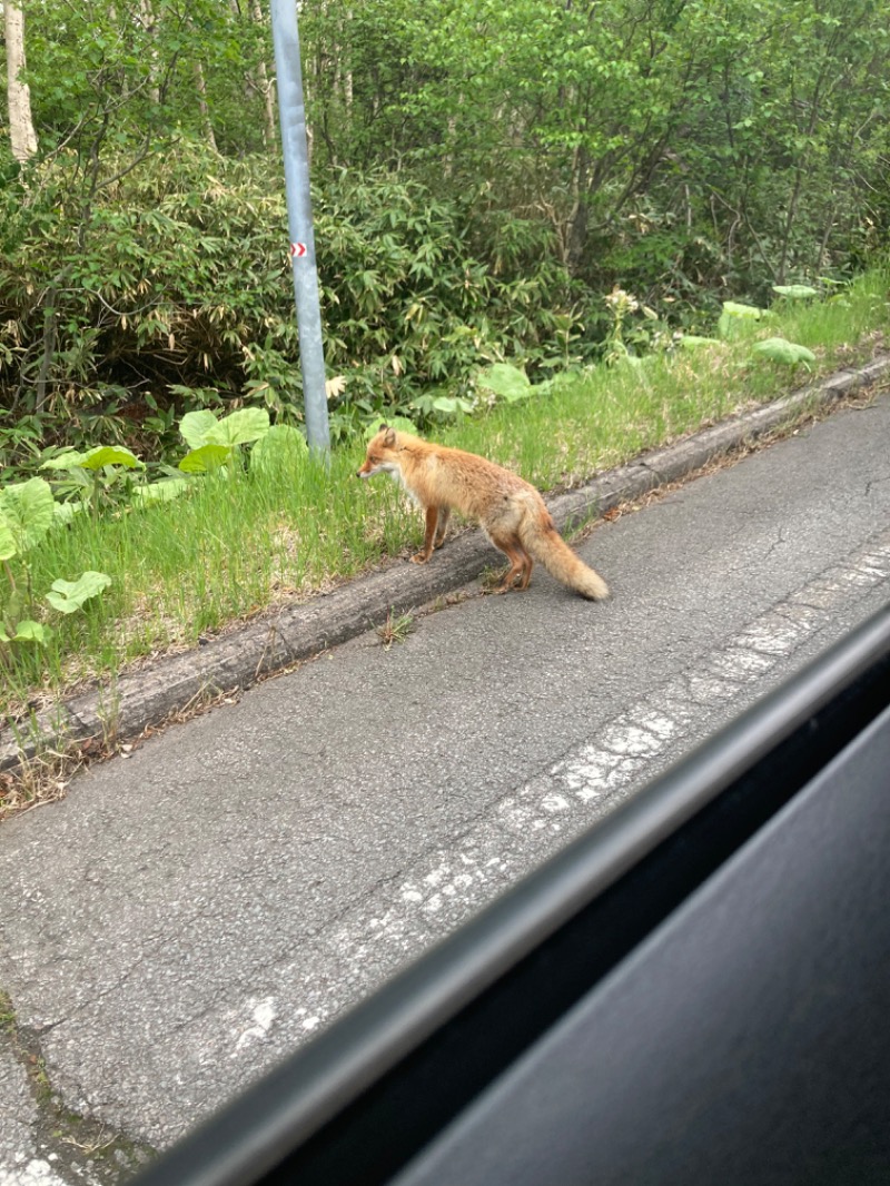 エクストリーム・ノイズ・チラーさんの吹上温泉保養センター 白銀荘のサ活写真