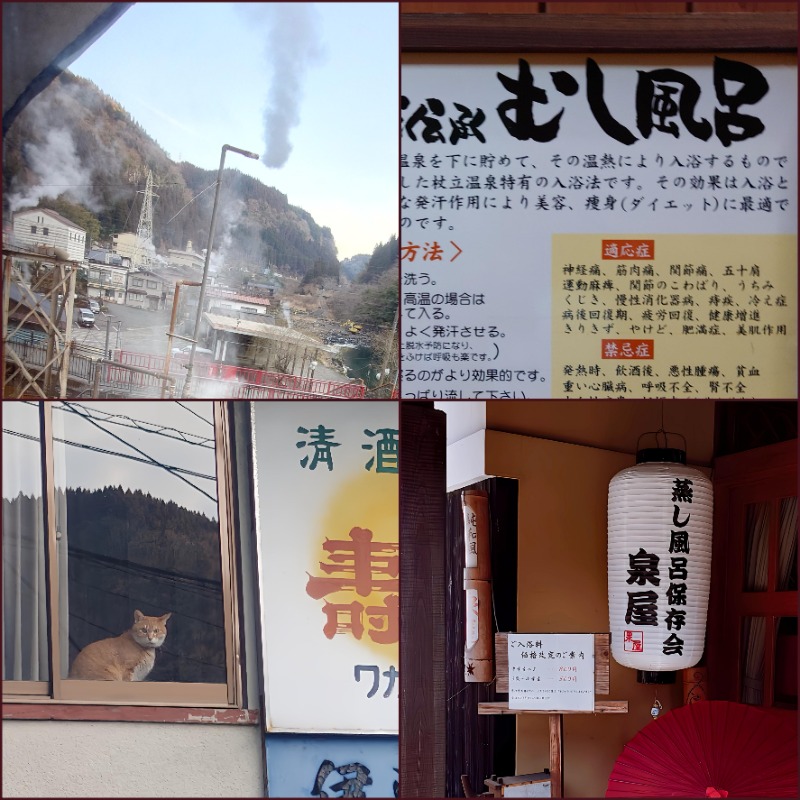 湯さんの純和風旅館 泉屋のサ活写真