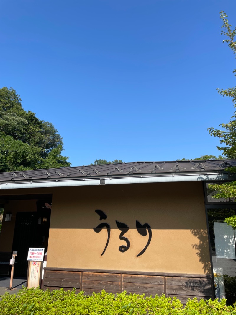 虫親父さんのさがみ湖温泉 うるりのサ活写真