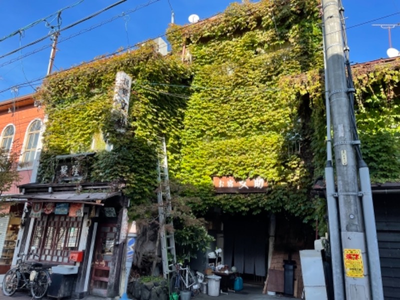 BELLさんの飛騨高山 自家源泉の湯 臥龍の郷のサ活写真