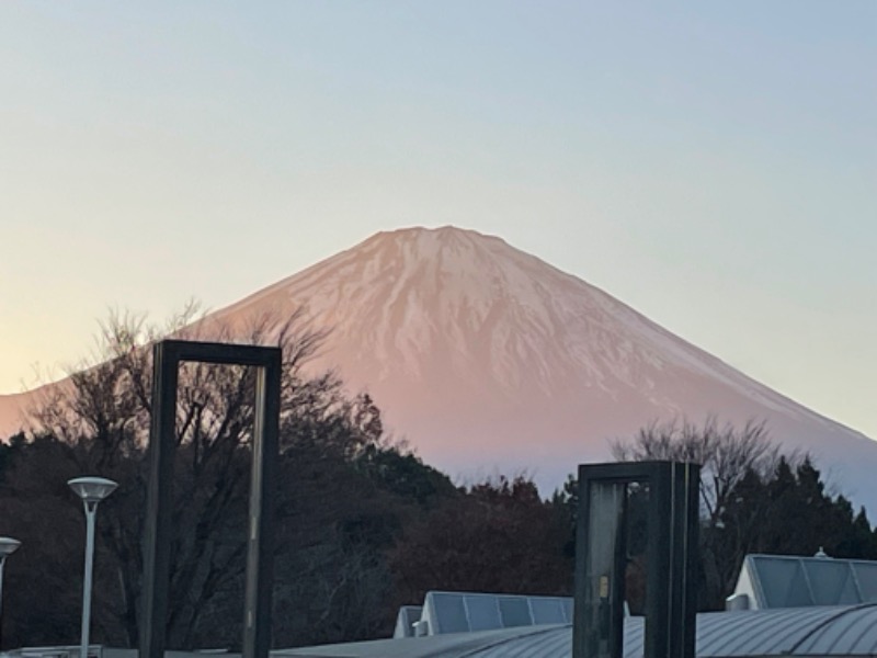 やまちゃんさんの湯の泉 東名厚木健康センターのサ活写真