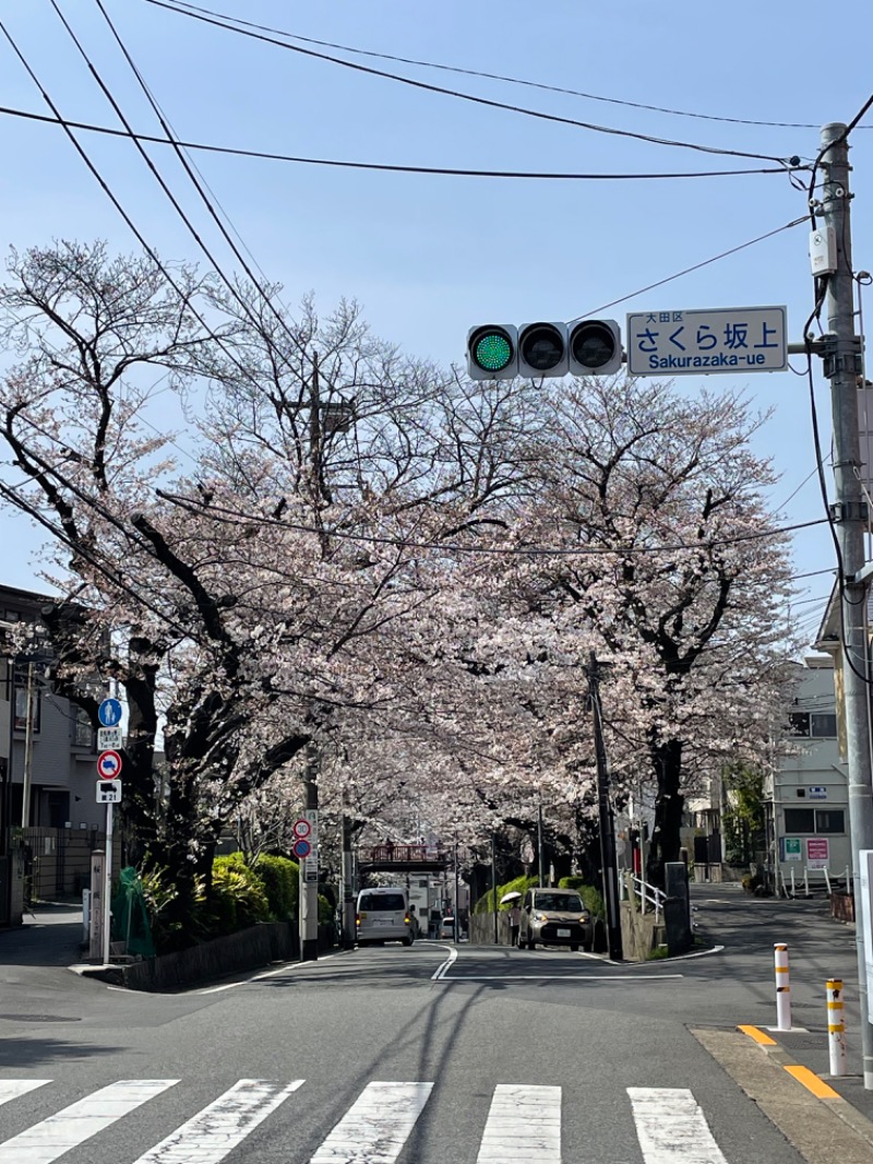 やまちゃんさんの平和湯のサ活写真