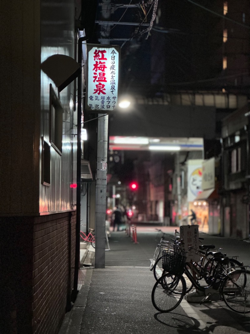 なおきさんの紅梅温泉のサ活写真