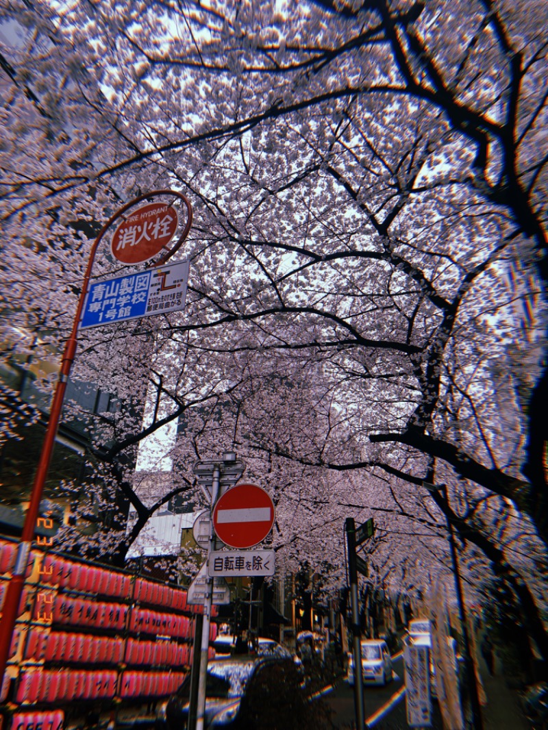 にゃぴたろうさんの渋谷SAUNASのサ活写真