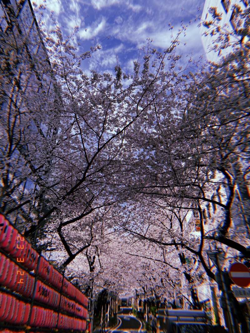 にゃぴたろうさんの渋谷SAUNASのサ活写真