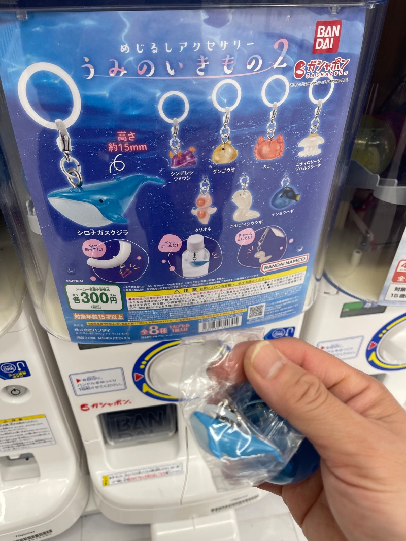 わや（わやぺちーの）さんの天然温泉 ふみぞの湯のサ活写真