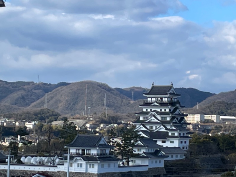 いけダンディさんのカプセル&サウナ日本のサ活写真