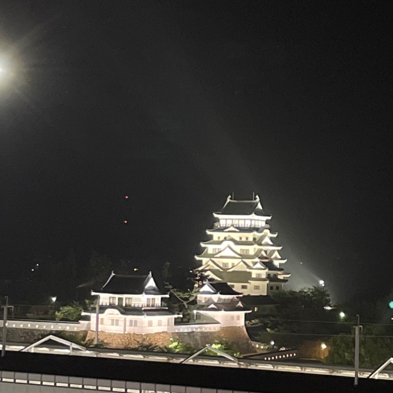 いけダンディさんのカプセル&サウナ日本のサ活写真