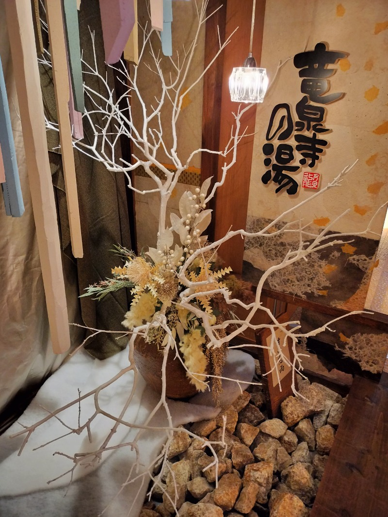 あやさんの天空SPA HILLS 竜泉寺の湯 名古屋守山本店のサ活写真