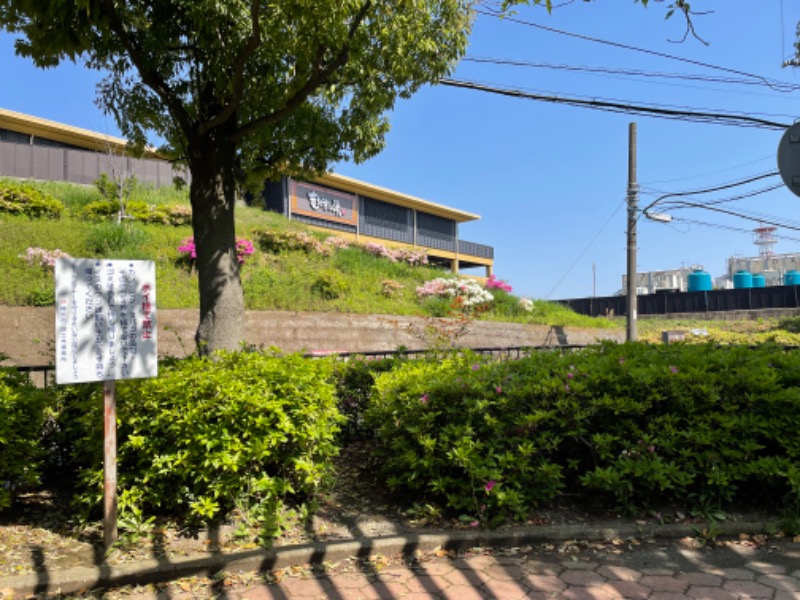 ミズブロ　ハイレタさんの横濱スパヒルズ 竜泉寺の湯のサ活写真