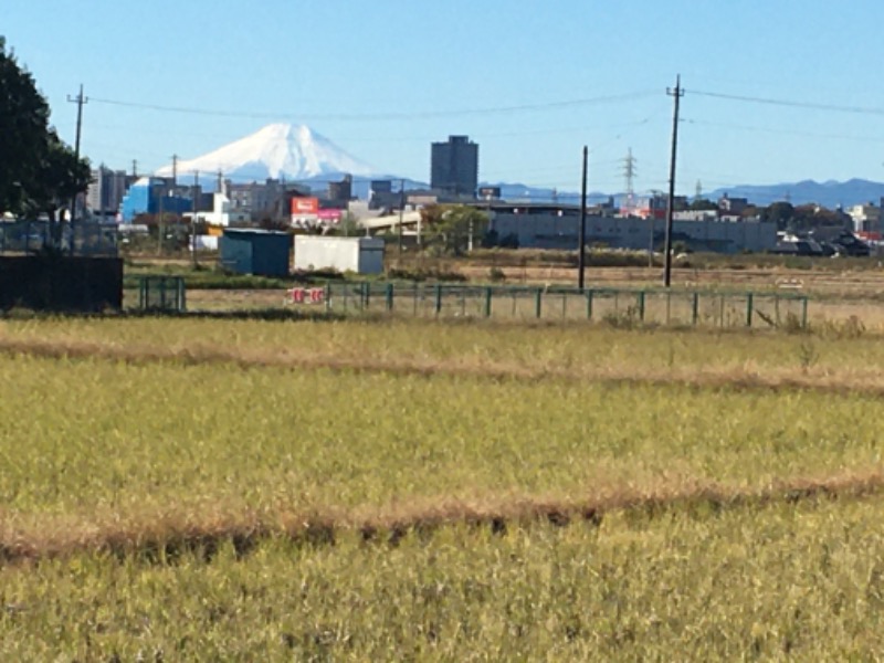 りーさんさんの小江戸温泉 KASHIBAのサ活写真