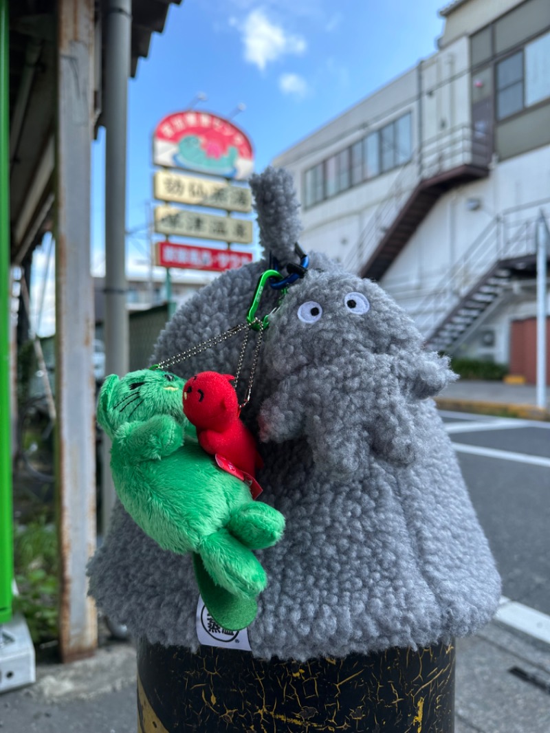 わいるどさんの湯乃泉 草加健康センターのサ活写真