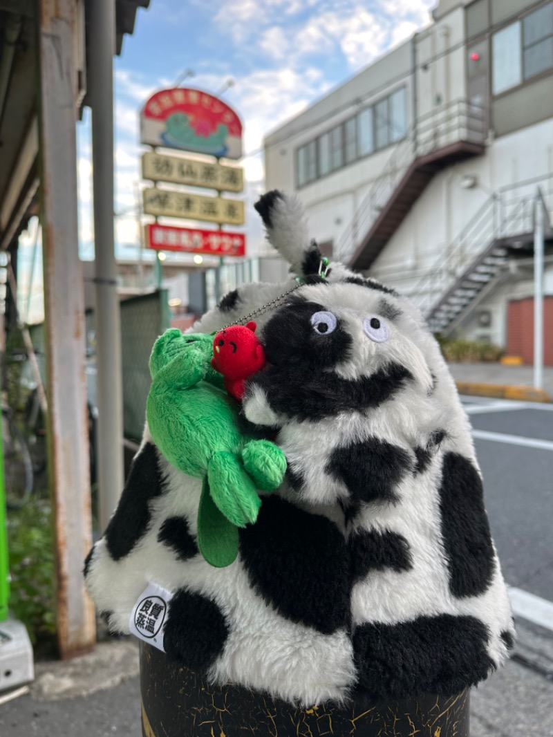 わいるどさんの湯乃泉 草加健康センターのサ活写真