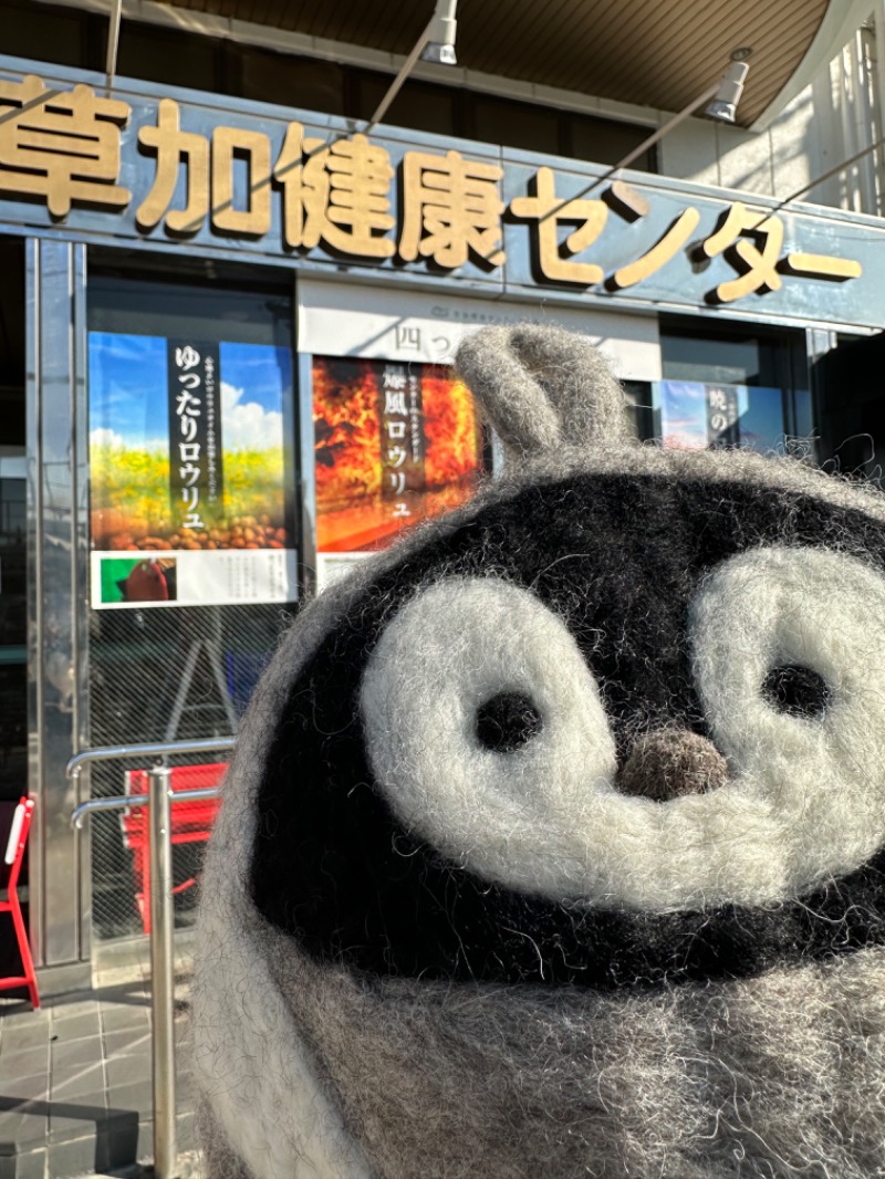 わいるどさんの湯乃泉 草加健康センターのサ活写真