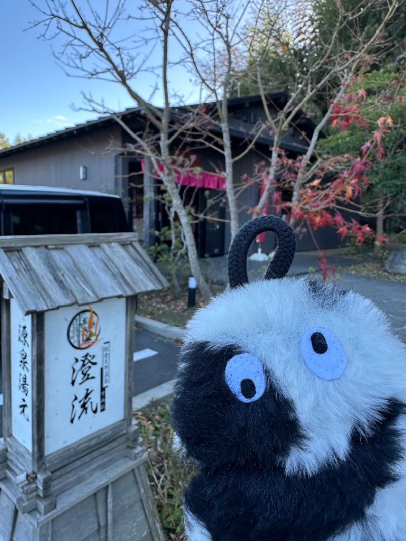 わいるどさんの佐倉天然温泉 澄流(すみれ)のサ活写真