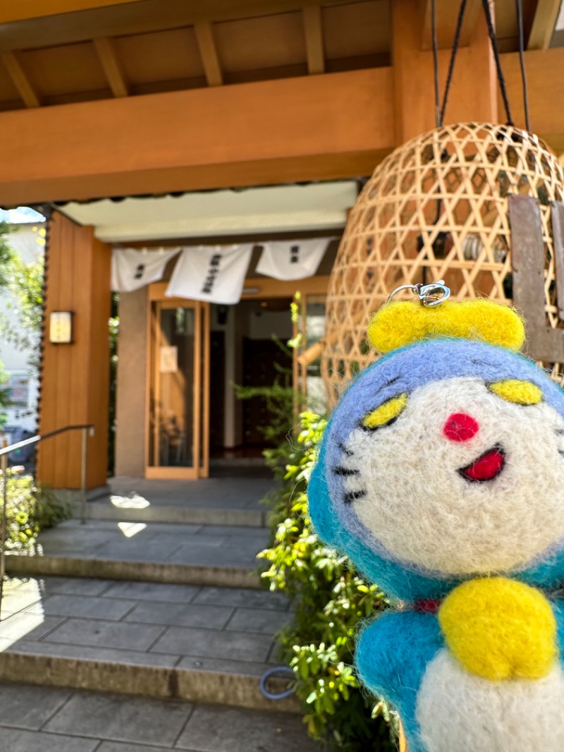 わいるどさんの武蔵小山温泉 清水湯のサ活写真