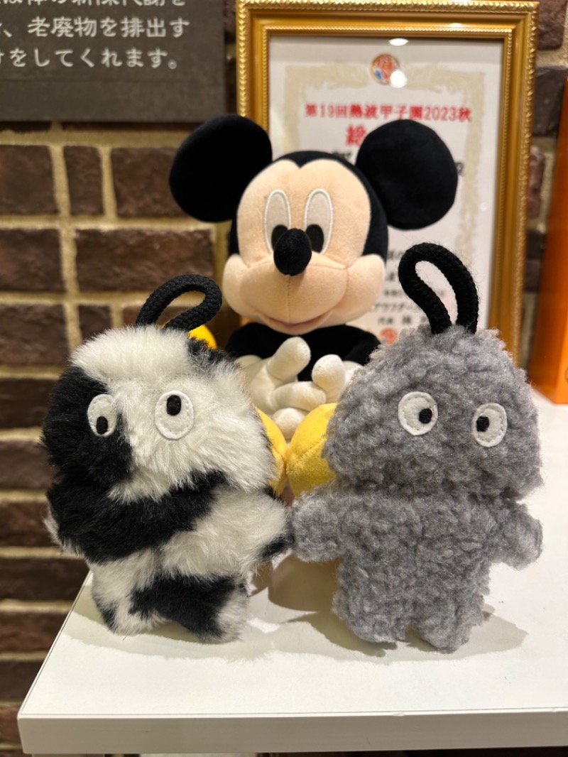 わいるどさんの天然温泉 平和島のサ活写真